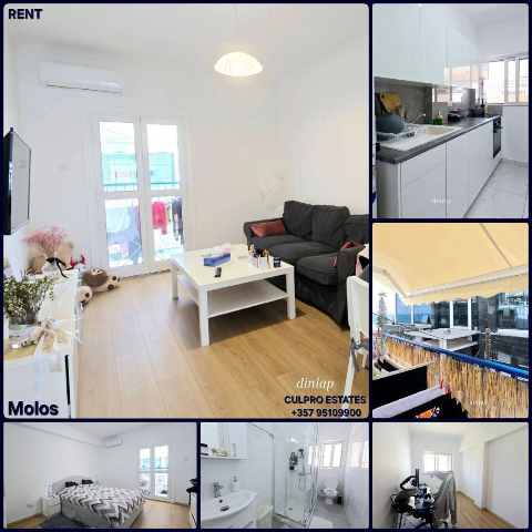 1400 EUR · аренда · apartment · 1 комната · #9595 | MyProperties Cyprus