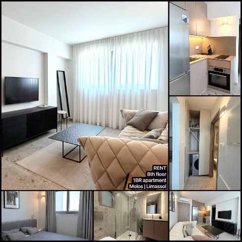 1300 EUR · ενοικίαση · apartment · 1 δωμάτιο · 40 m² · #9596 | MyProperties Cyprus