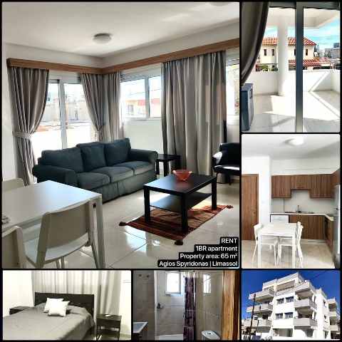 1200 EUR · rent · apartment · 1 room · #9613 | MyProperties Cyprus