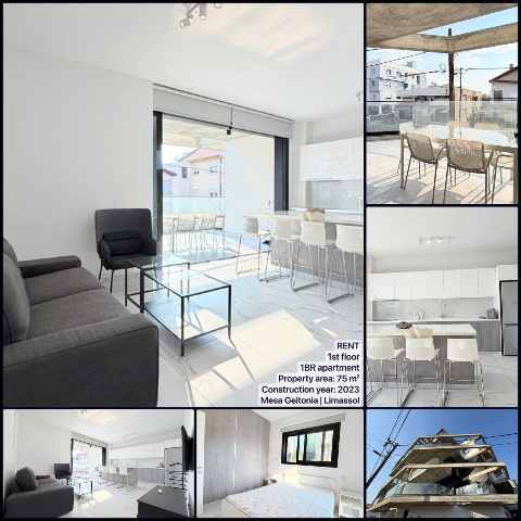 1600 EUR · ενοικίαση · apartment · 1 δωμάτιο · 75 m² · #9753 | MyProperties Cyprus