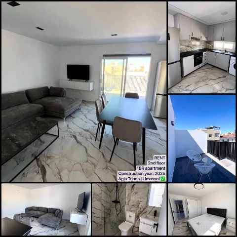 1450 EUR · аренда · apartment · 1 комната · 85 m² · #9978 | MyProperties Cyprus
