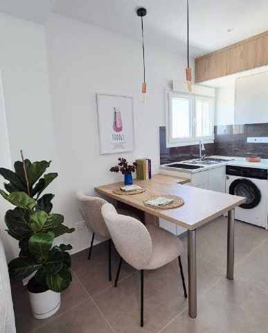 1200 EUR · аренда · apartment · студия · #10133 | MyProperties Cyprus