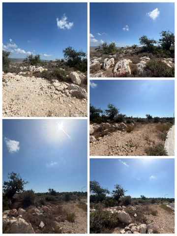 985000 EUR · πώληση · land · 12375 m² · #10710 | MyProperties Cyprus