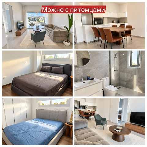 2200 EUR · аренда · apartment · 2 комнаты · 80 m² · #12593 | MyProperties Cyprus