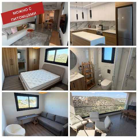 2500 EUR · аренда · apartment · 2 комнаты · 100 m² · #13027 | MyProperties Cyprus