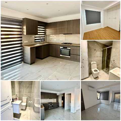 1350 EUR · аренда · apartment · 2 комнаты · 62 m² · #13085 | MyProperties Cyprus