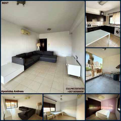 1550 EUR · аренда · apartment · 2 комнаты · #13354 | MyProperties Cyprus