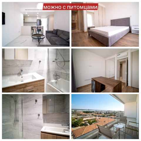 2500 EUR · rent · apartment · 2 rooms · 100 m² · #13565 | MyProperties Cyprus